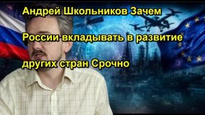 Андрей Школьников Зачем России вкладывать в развитие других стран Срочно