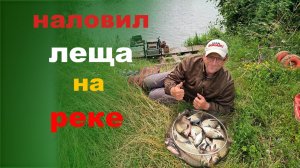 наловил леща на реке