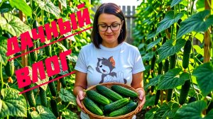 НА ОГОРОДЕ, КАК В ДЖУНГЛЯХ 🤣 ВЫКОПАЛИ ЛУК 🧅 ПЕРВЫЕ ОГУРЦЫ 🥒🥒🥒