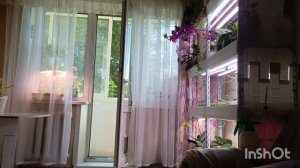 В.В Путин приехал в Красноярск ❤/из за ХЕЙТЕРОВ пришлось удалить канал , 😳рассказываю как это было