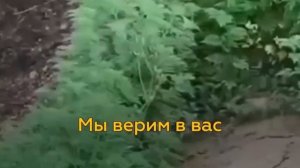 Дрон милоты» прилетел к морпеху на передовой❤️🇷🇺🇷🇺🇷🇺