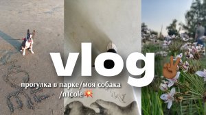 ᯓ поехали к бабушке и дедушке?! прогулка в парке/моя собака/n1cole ✦