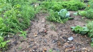 Без комментирования все ясно