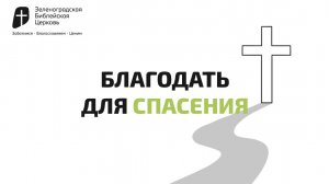 БЛАГОДАТЬ ДЛЯ СПАСЕНИЯ | Павел Колесников
