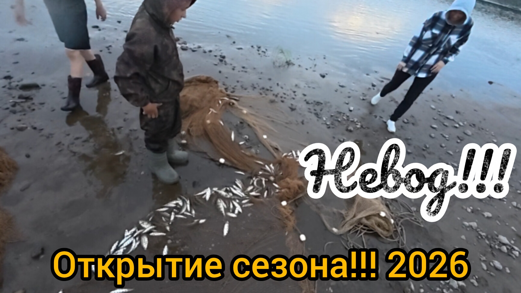 РЫБАЛКА НЕВОДОМ! ОТКРЫТИЕ СЕЗОНА! ЛОВЛЯ ТУГУНА!