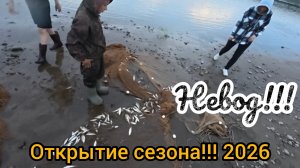 РЫБАЛКА НЕВОДОМ! ОТКРЫТИЕ СЕЗОНА! ЛОВЛЯ ТУГУНА!