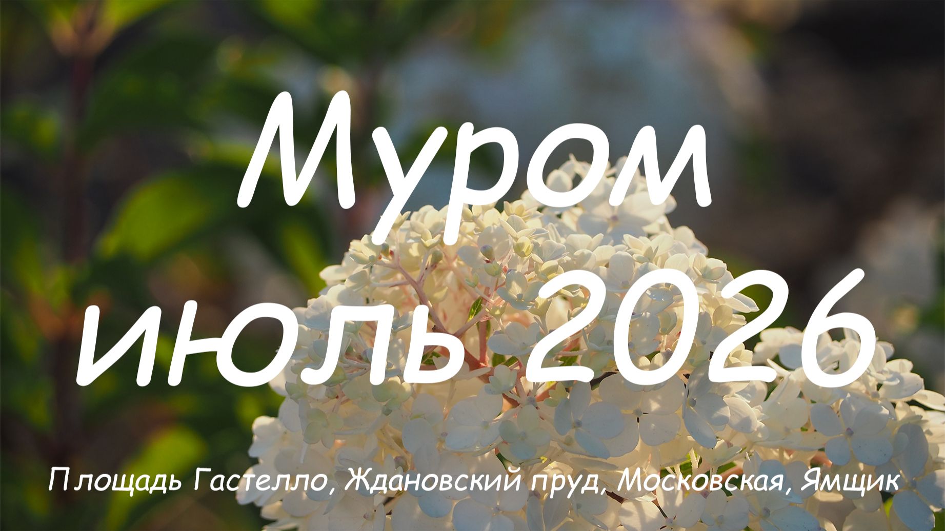 Муром, июль 2026 - Площадь Гастелло, Ждановский пруд, Московская, Ямщик