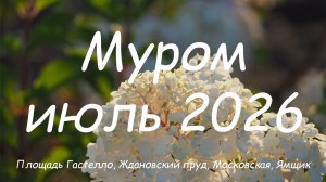 Муром, июль 2026 - Площадь Гастелло, Ждановский пруд, Московская, Ямщик