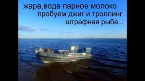 жара,вода парное молоко пробуем джиг и троллинг,штрафная рыбалка