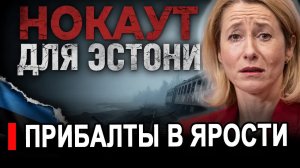 Похоже, что это нокаут: Эстония расплачивается за санкции против России
