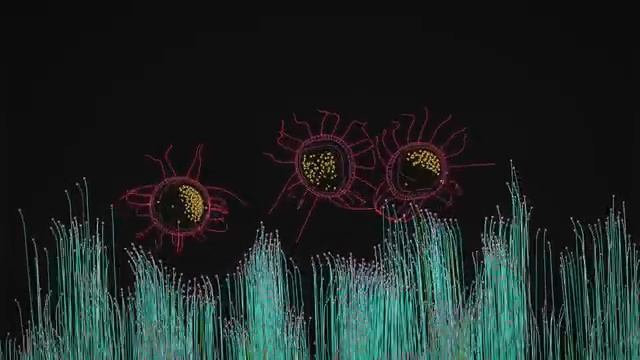 Max Cooper - Order From Chaos (official Video By Maxime Causeret)