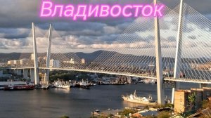 2.Владивосток 2026.На катере вокруг острова Русский,тюлени