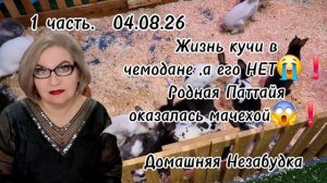 1 часть. Жизнь кучи в чемодане, а его НЕТ 😭❗️Родная Паттайя оказалась мачехой 😱❗️