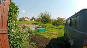 Вот и цыплятам счастье привалило.