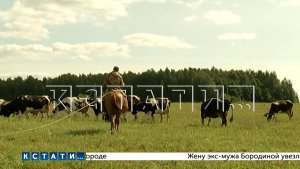 Молния ударила в проводную гарнитуру во время звонка, и всадник погиб вместе с конём
