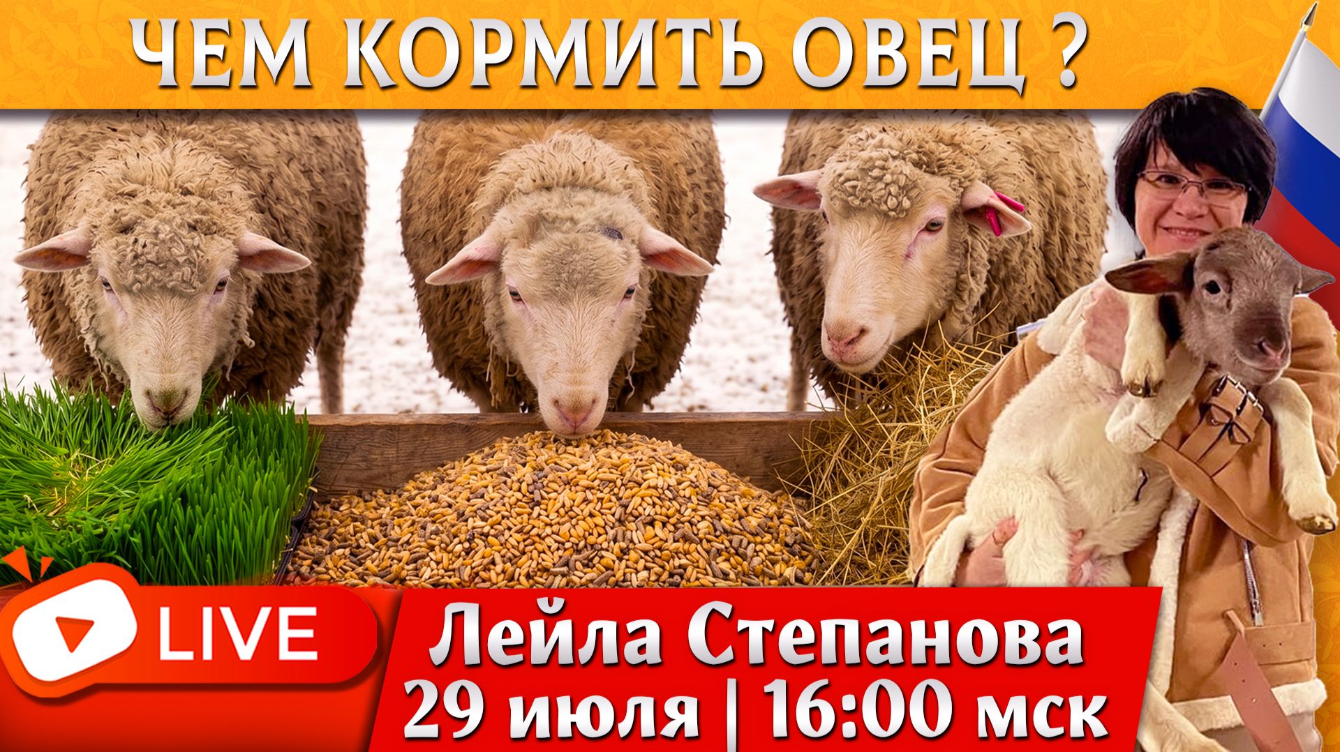 Всё о кормлении овец с Лейлой Степановой. Прямой эфир 29 июля в 18:00 (Астана)/16:00 (Москва).