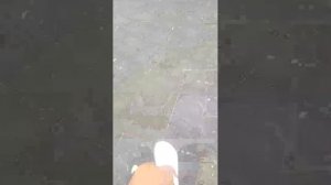 бассейн