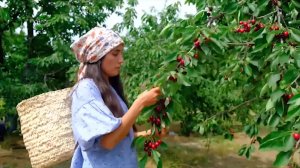 Жизнь   в горах молодой семьи! Урожаи фруктов и уникальные блюда Азербайджанская Кухня   Рецепты