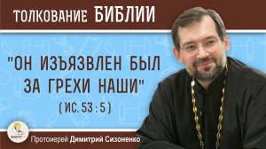 «Он изъязвлен был за грехи наши» (Ис. 53:5). Протоиерей Димитрий Сизоненко