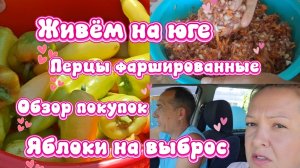 04-08-2026/Мечты сбываются!/Мы переехи/Поездка в центр/Обзор покупок//Фаршируем перчик//Яблоки //