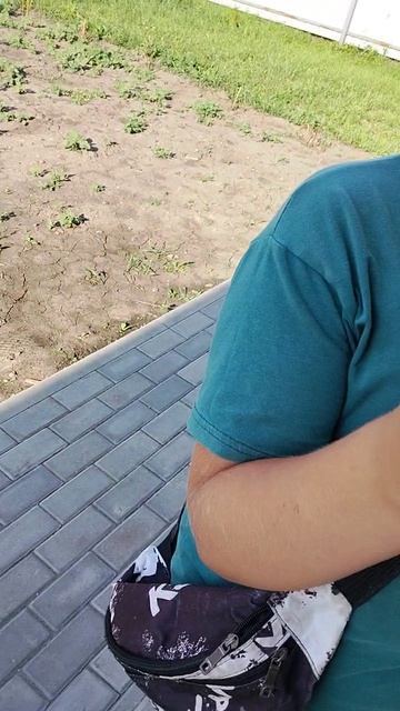 трол