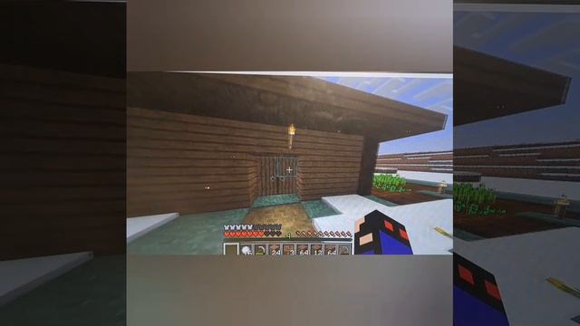 выживаем с прошей:день3