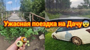 Ужасная поездка на Дачу 😨Два дня Чипе! Никогда такого  не было.