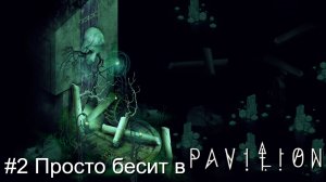 #2 Просто бесит в Pavilion