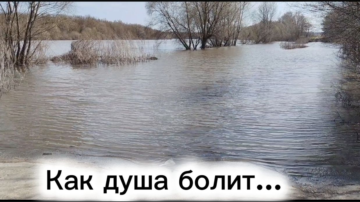 Как душа болит...