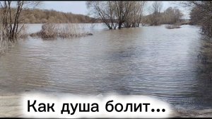 Как душа болит...
