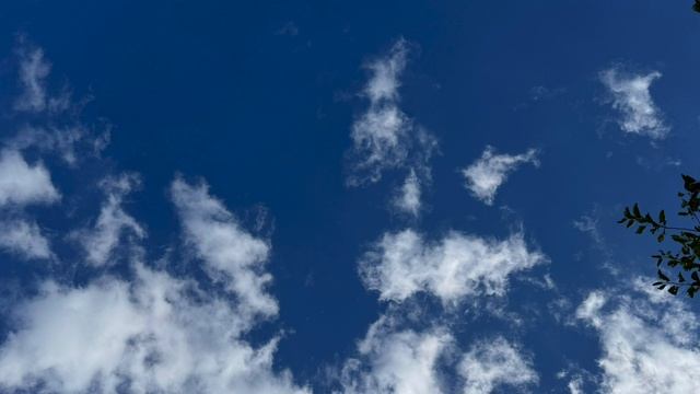 Безумие вызванное книгами