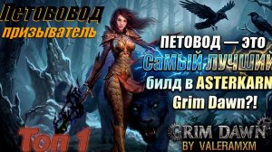 ПЕТОВОД — ПОДХОДИТ даже НОВИЧКАМ?! ЭТО Самый ЛУЧШИЙ билд в ASTERKARN Grim Dawn!
