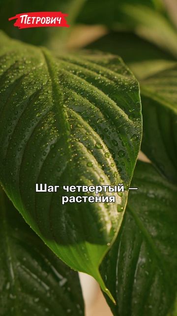 Как подготовить квартиру к отъезду в отпуск?