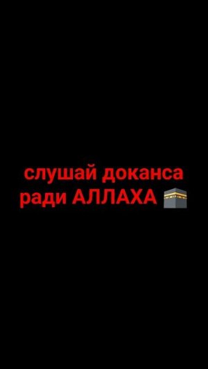 Мудрость Салахаддина