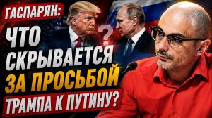 Гаспарян / Что скрывается за просьбой Трампа к Путину?
