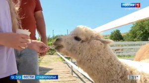 На Ставрополье растет популярность «сельских маршрутов»