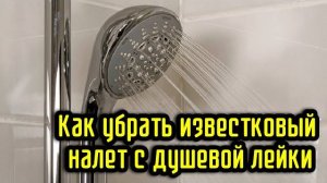 Как убрать известковый налет с душевой лейки