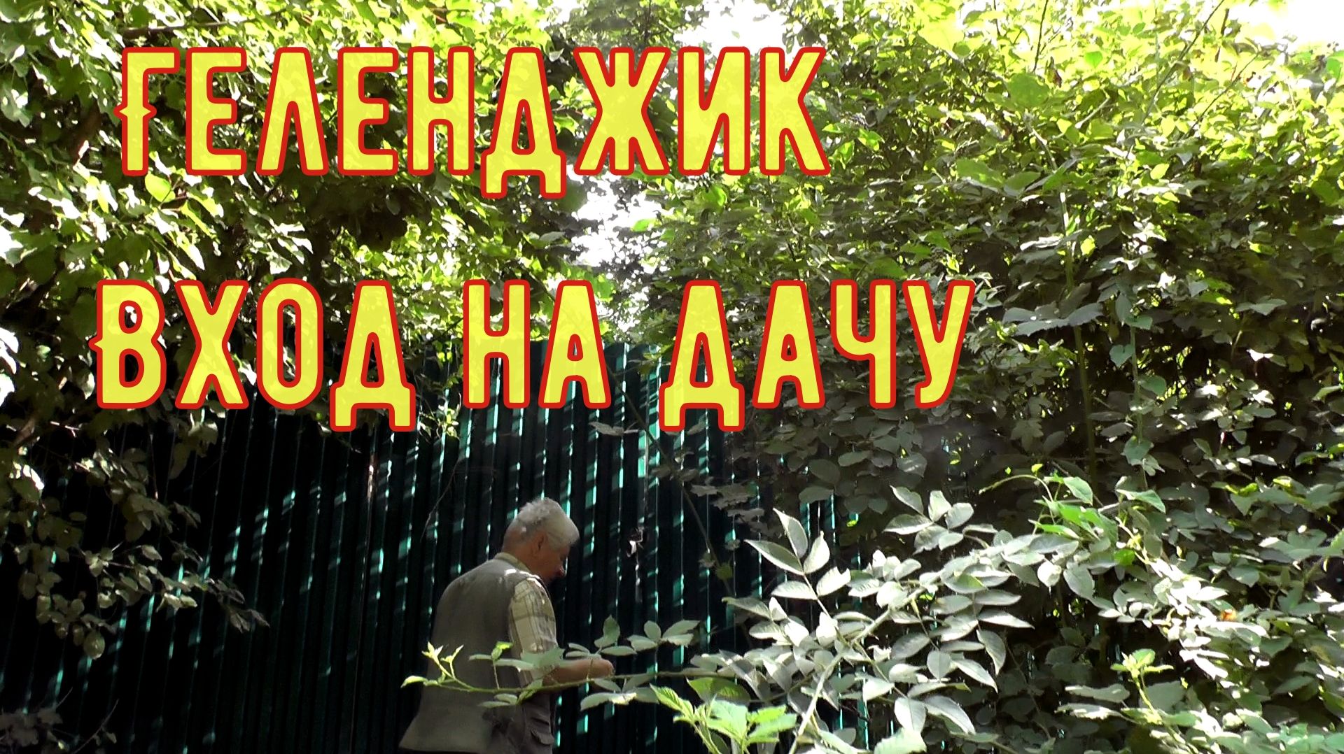 Геленджик с/т 