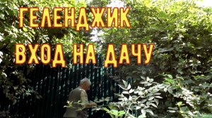 Геленджик с/т «Пищевик» Село Возрождение  Режем траву триммером на своей даче 1 августа 2026