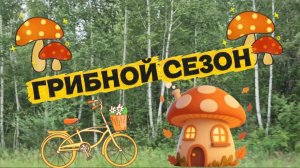 Грибной сезон👌😉