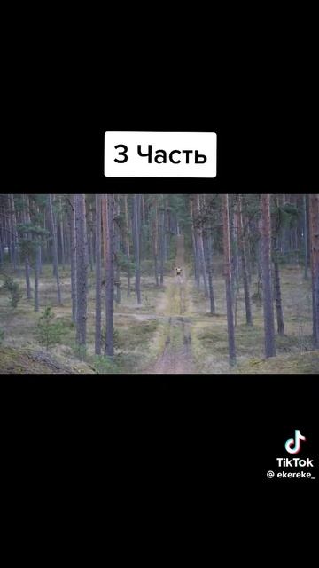 доставка молния от Жоры