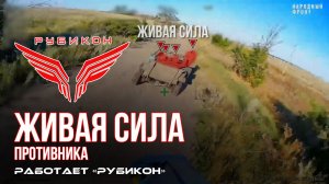 Живая сила противника. «Рубикон» продолжает раздавать порции пластида пехоте ВСУ в зоне СВО