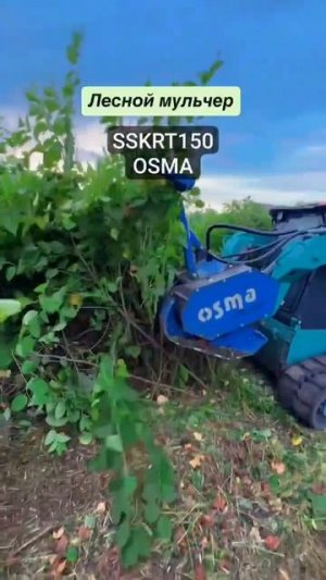 🔵  Мульчер лесной SSKRT150 @OSMAMULCHERS на мини-погрузчике Sunward