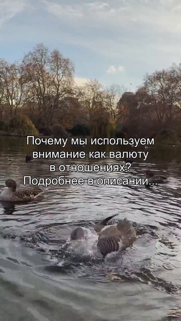 Почему мы провоцируем
других, хотя знаем,
чем это закончится?
Подробнее в описании...