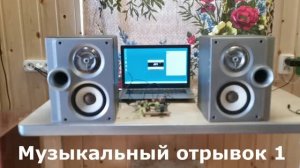 Тест французских колонок фирмы Thomson