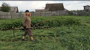 Литовкой скошу Суданскую травушку!💥❤️
