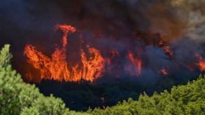 Пламя охватило более 10 тысяч гектаров: в Греции назвали причину лесных пожаров
