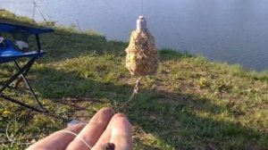 5необычных секретов для успешной ловли Леща