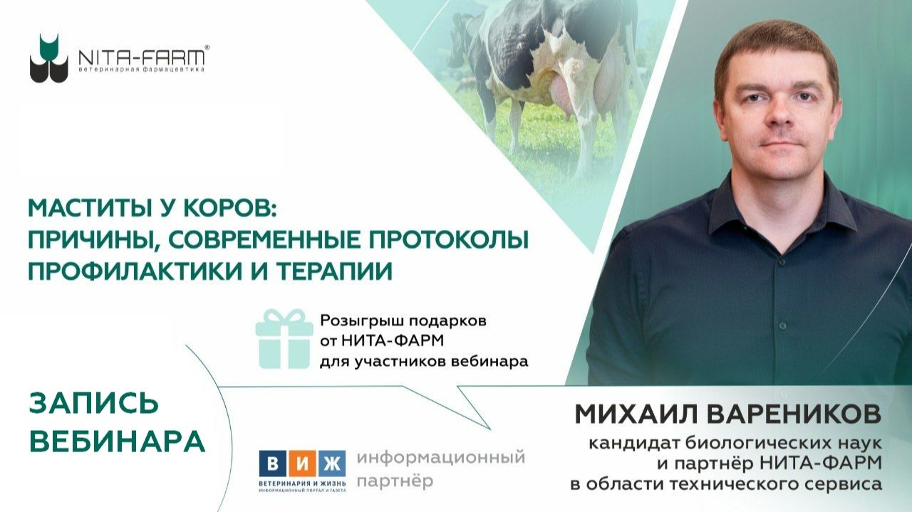 Запись вебинара «Маститы: причины возникновения, современные протоколы профилактики и терапии»