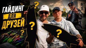 Смогут ли новички поймать рыбу? 🎣 Учу друзей джиговой ловле. Река Сухона.